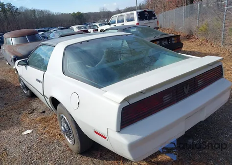 1984 Pontiac Firebird из США, поврежденный, VIN 1G2AS8711EN215638